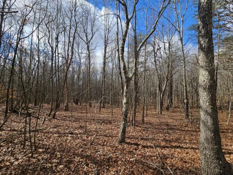 10 Griswold Road Altamont TN 37301