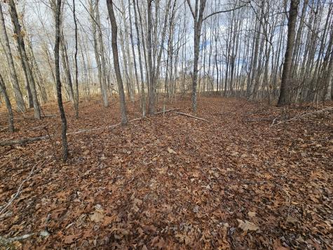 10 Griswold Road Altamont TN 37301