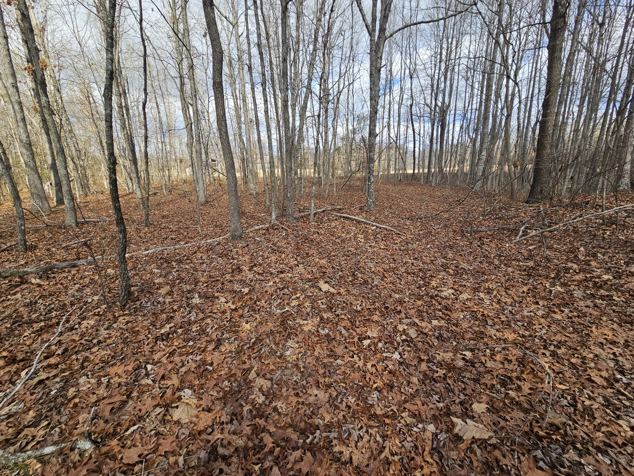 10 Griswold Road Altamont TN 37301