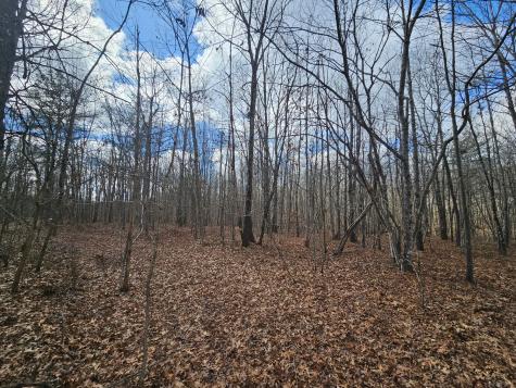 10 Griswold Road Altamont TN 37301