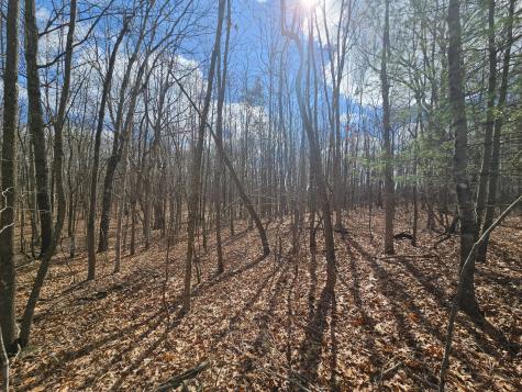 10 Griswold Road Altamont TN 37301