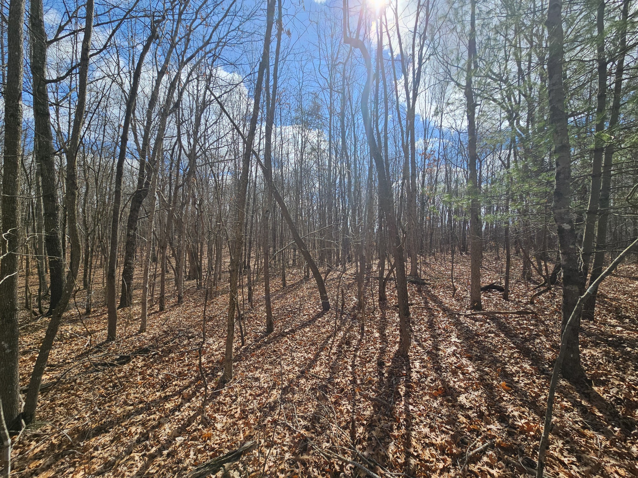 10 Griswold Road Altamont TN 37301