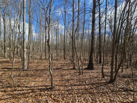 10 Griswold Road Altamont TN 37301