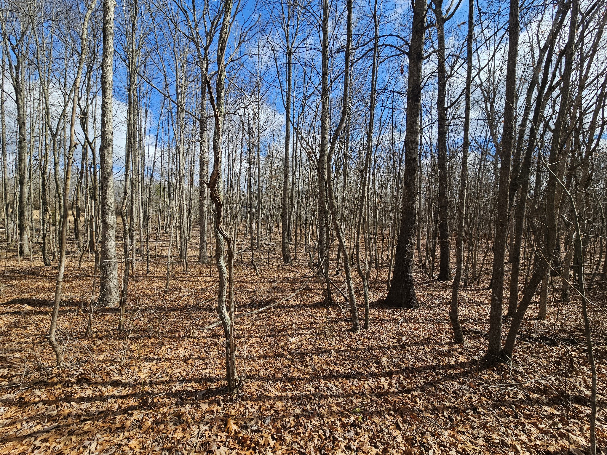 10 Griswold Road Altamont TN 37301