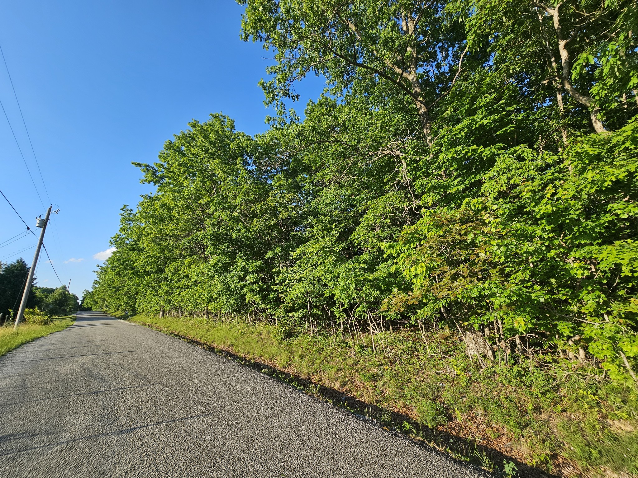 10 Griswold Road Altamont TN 37301