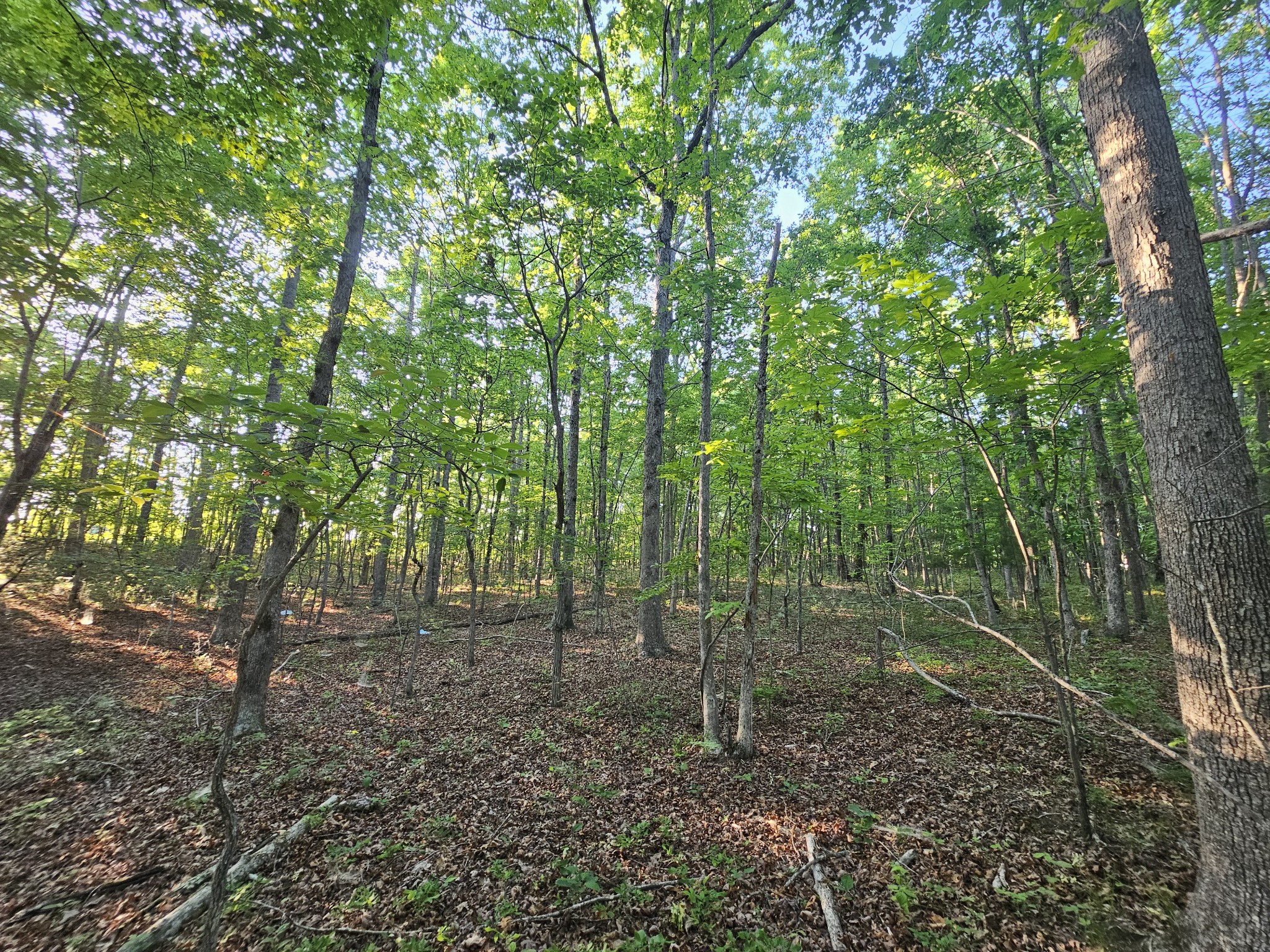 10 Griswold Road Altamont TN 37301