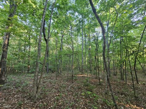 10 Griswold Road Altamont TN 37301