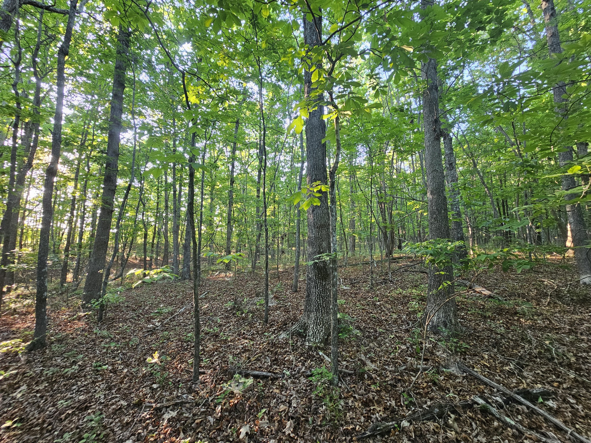 10 Griswold Road Altamont TN 37301