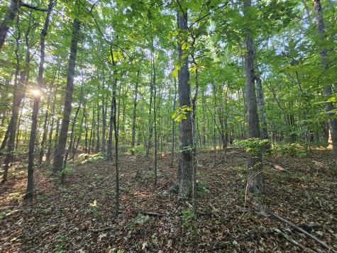 10 Griswold Road Altamont TN 37301