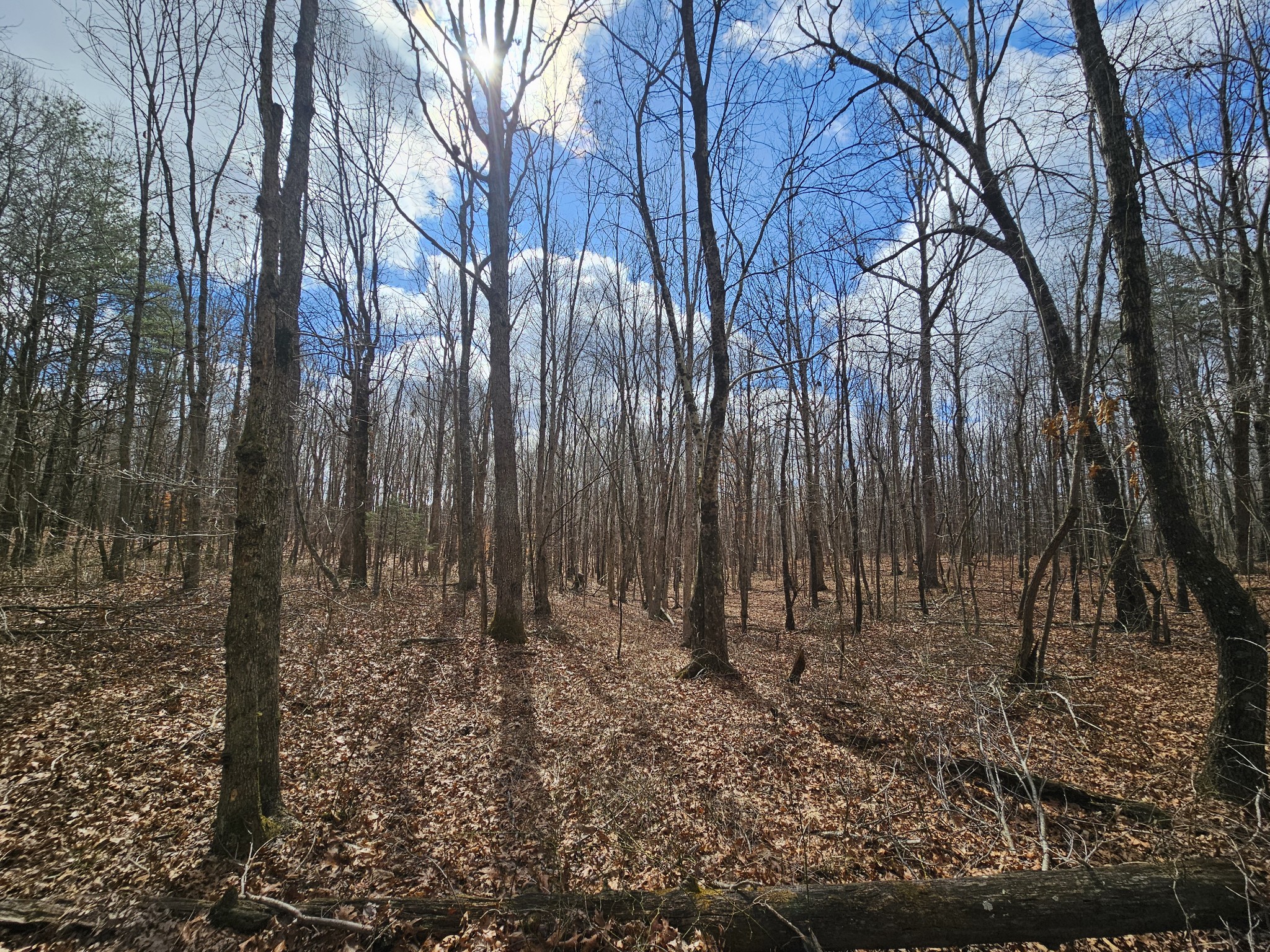 10 Griswold Road Altamont TN 37301