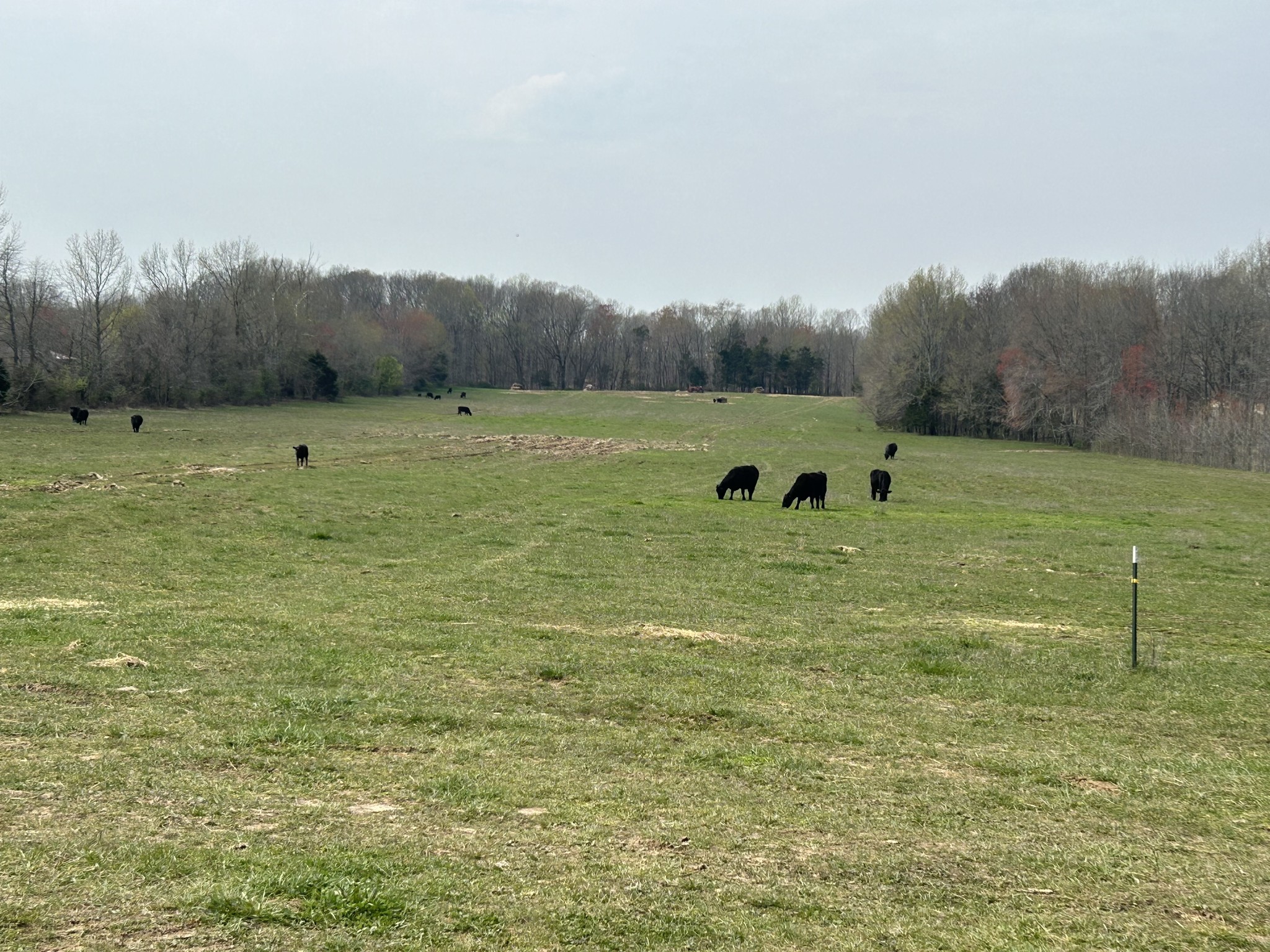 0 Washington Road Greenbrier TN 37073