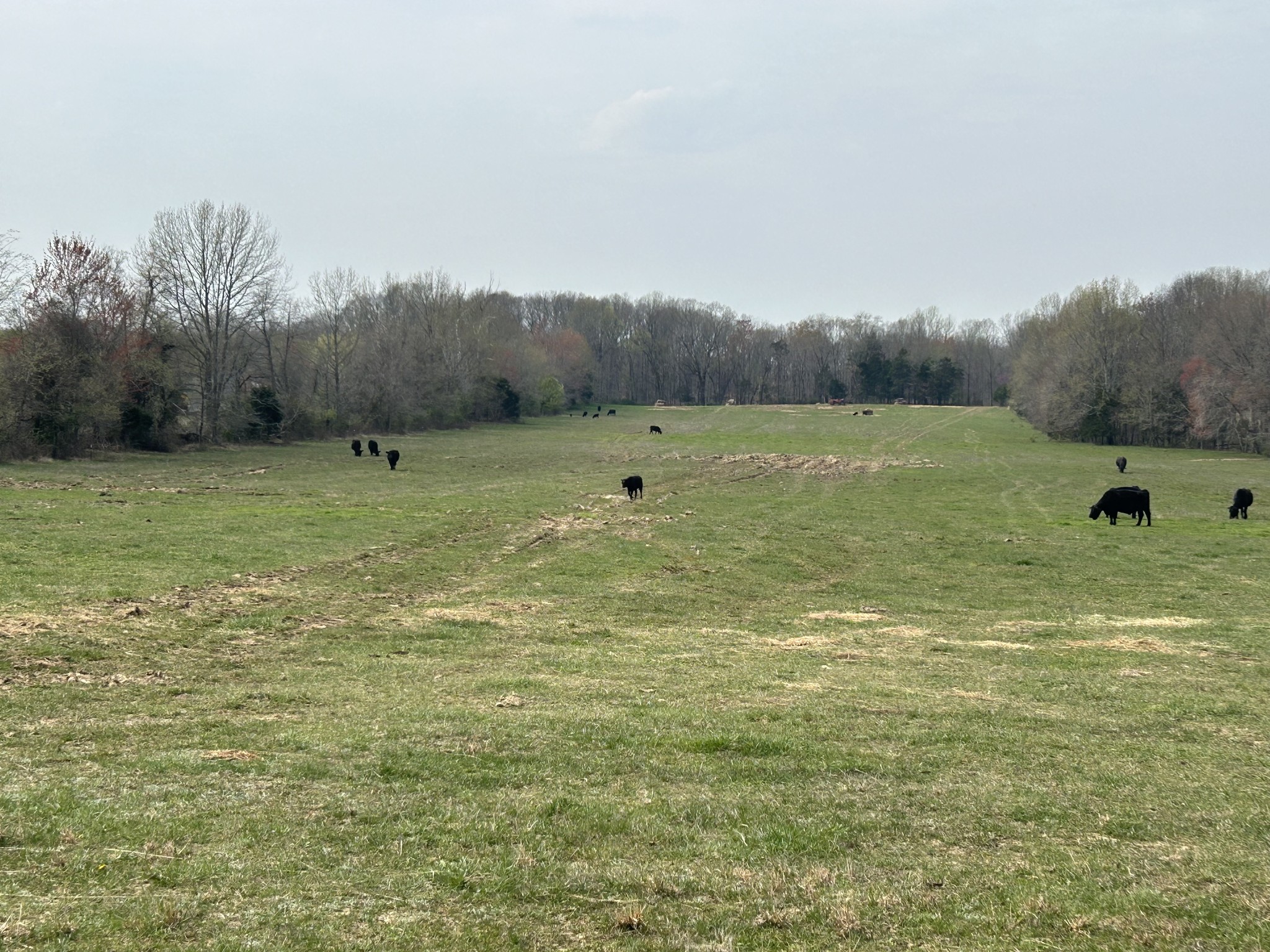 0 Washington Road Greenbrier TN 37073