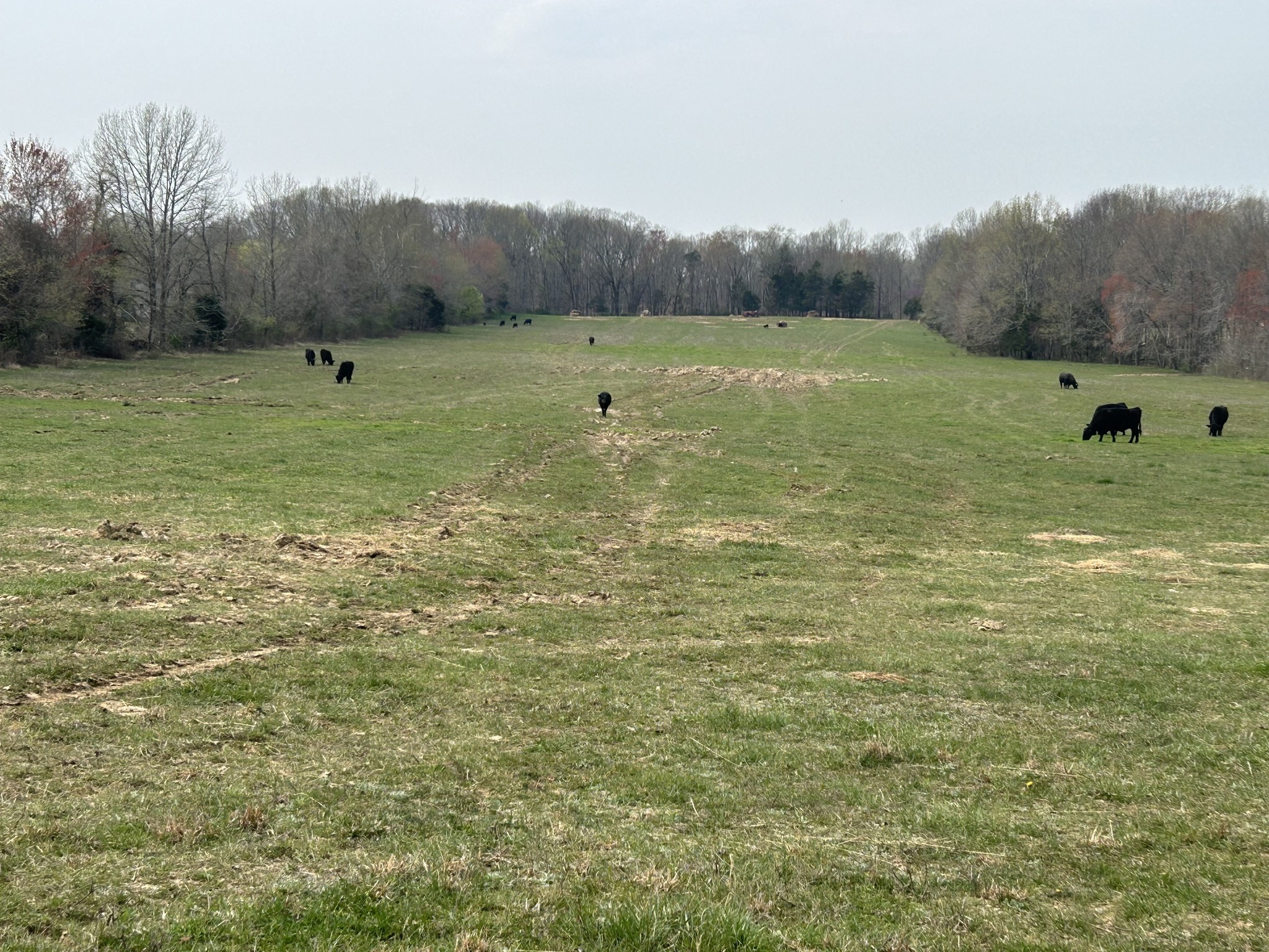 0 Washington Road Greenbrier TN 37073