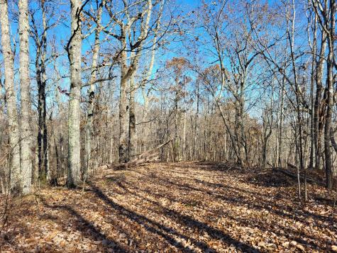 2 Marina Cove Off Road Holladay TN 38341