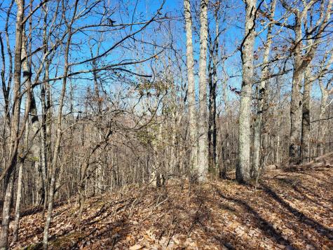 2 Marina Cove Off Road Holladay TN 38341