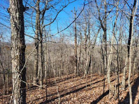2 Marina Cove Off Road Holladay TN 38341