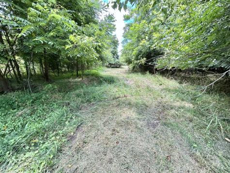 2 Hatchett Hollow Road Cornersville TN 37047