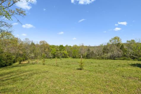 4341 Marlowe Road Williamsport TN 38487