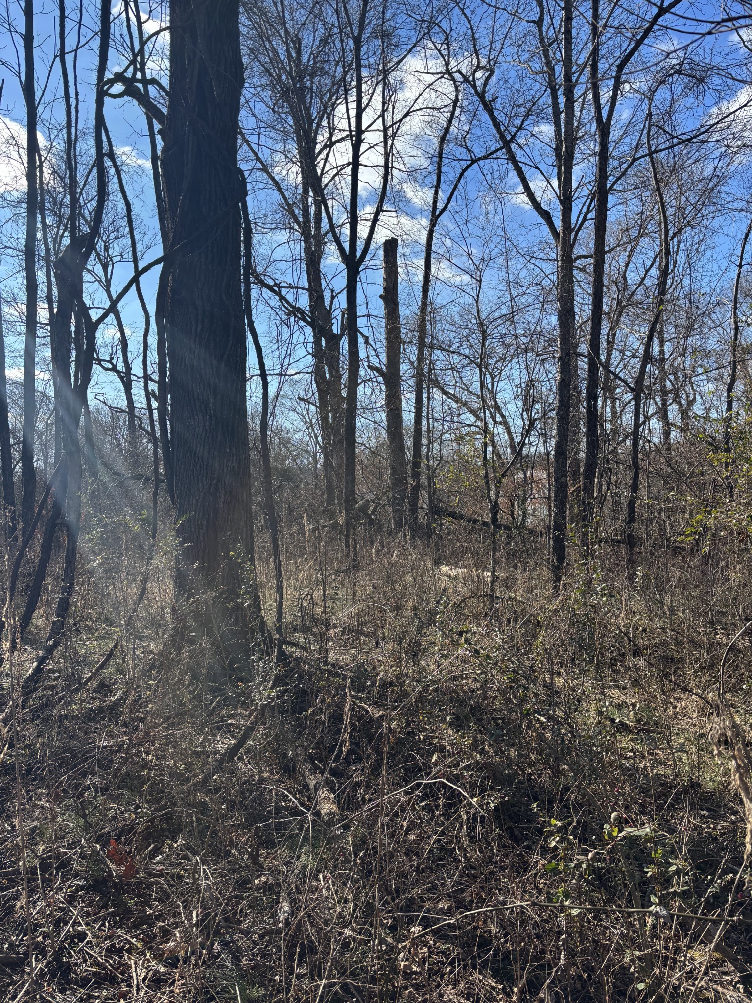0 Wallace Road Waverly TN 37185