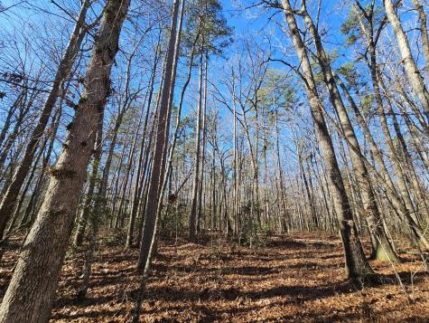 3 Savage Highland Drive Coalmont TN 37313