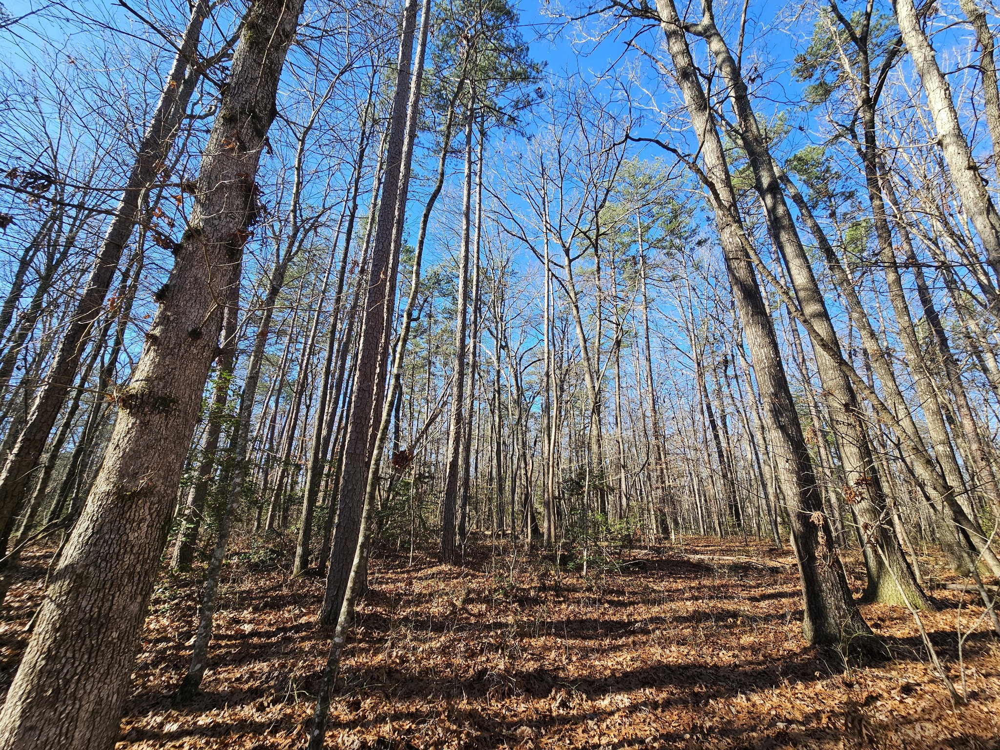 3 Savage Highland Drive Coalmont TN 37313