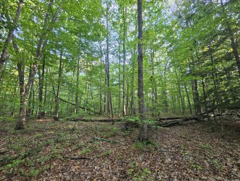 3 Savage Highland Drive Coalmont TN 37313