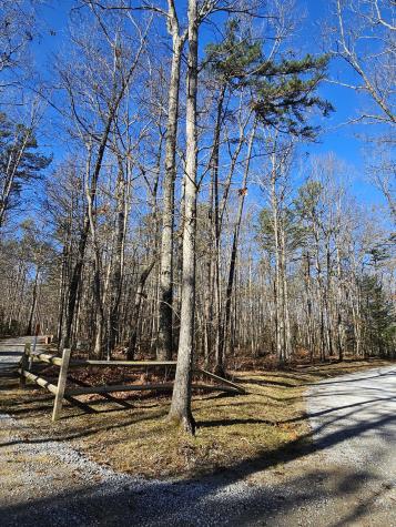 3 Savage Highland Drive Coalmont TN 37313