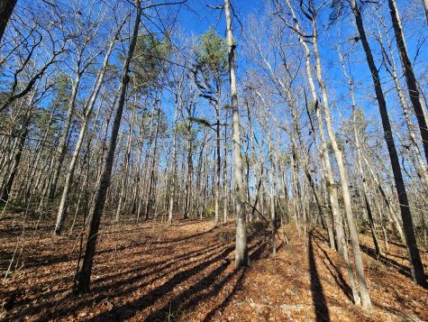 3 Savage Highland Drive Coalmont TN 37313