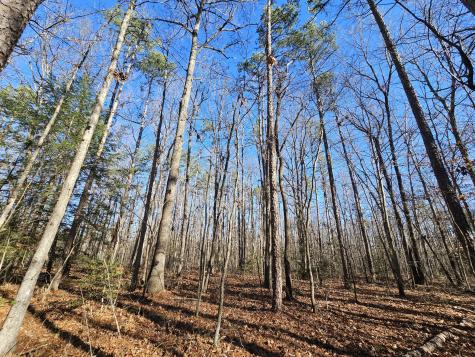 3 Savage Highland Drive Coalmont TN 37313