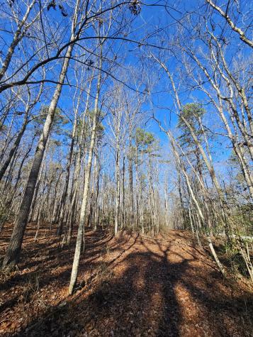 3 Savage Highland Drive Coalmont TN 37313