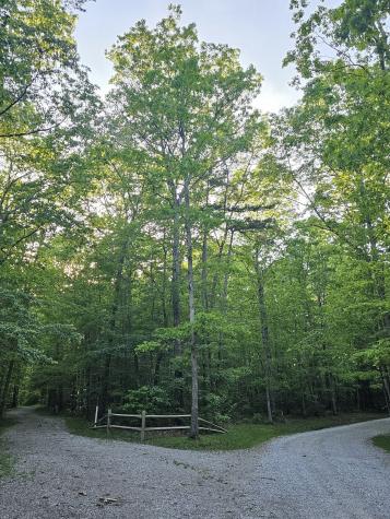 3 Savage Highland Drive Coalmont TN 37313