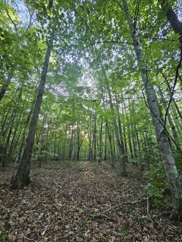 3 Savage Highland Drive Coalmont TN 37313