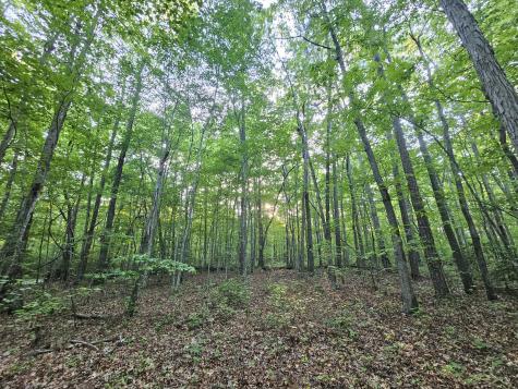 3 Savage Highland Drive Coalmont TN 37313