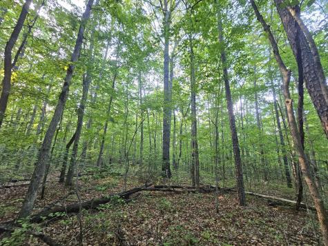 3 Savage Highland Drive Coalmont TN 37313