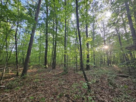 3 Savage Highland Drive Coalmont TN 37313