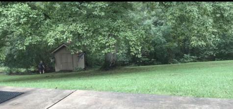 1006 Twin Oaks Drive White Bluff TN 37187