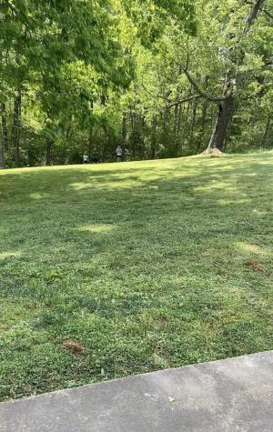 1006 Twin Oaks Drive White Bluff TN 37187