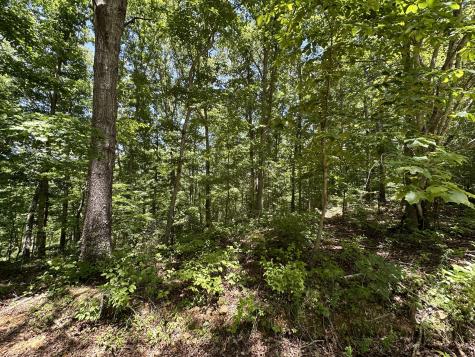 0 Valley Brook Drive Bon Aqua TN 37025