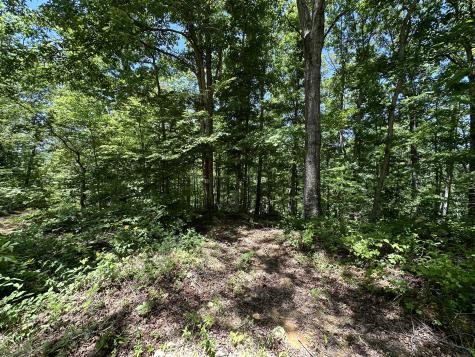 0 Valley Brook Drive Bon Aqua TN 37025