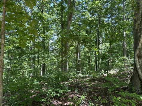 0 Valley Brook Drive Bon Aqua TN 37025