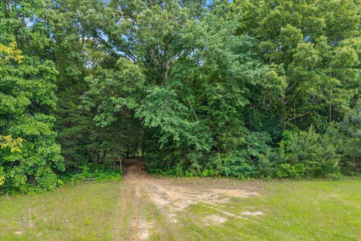 16271629 Wasson Road Ten Mile TN 37880