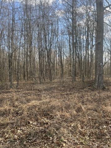 0 Boynton Valley Road Manchester TN 37355