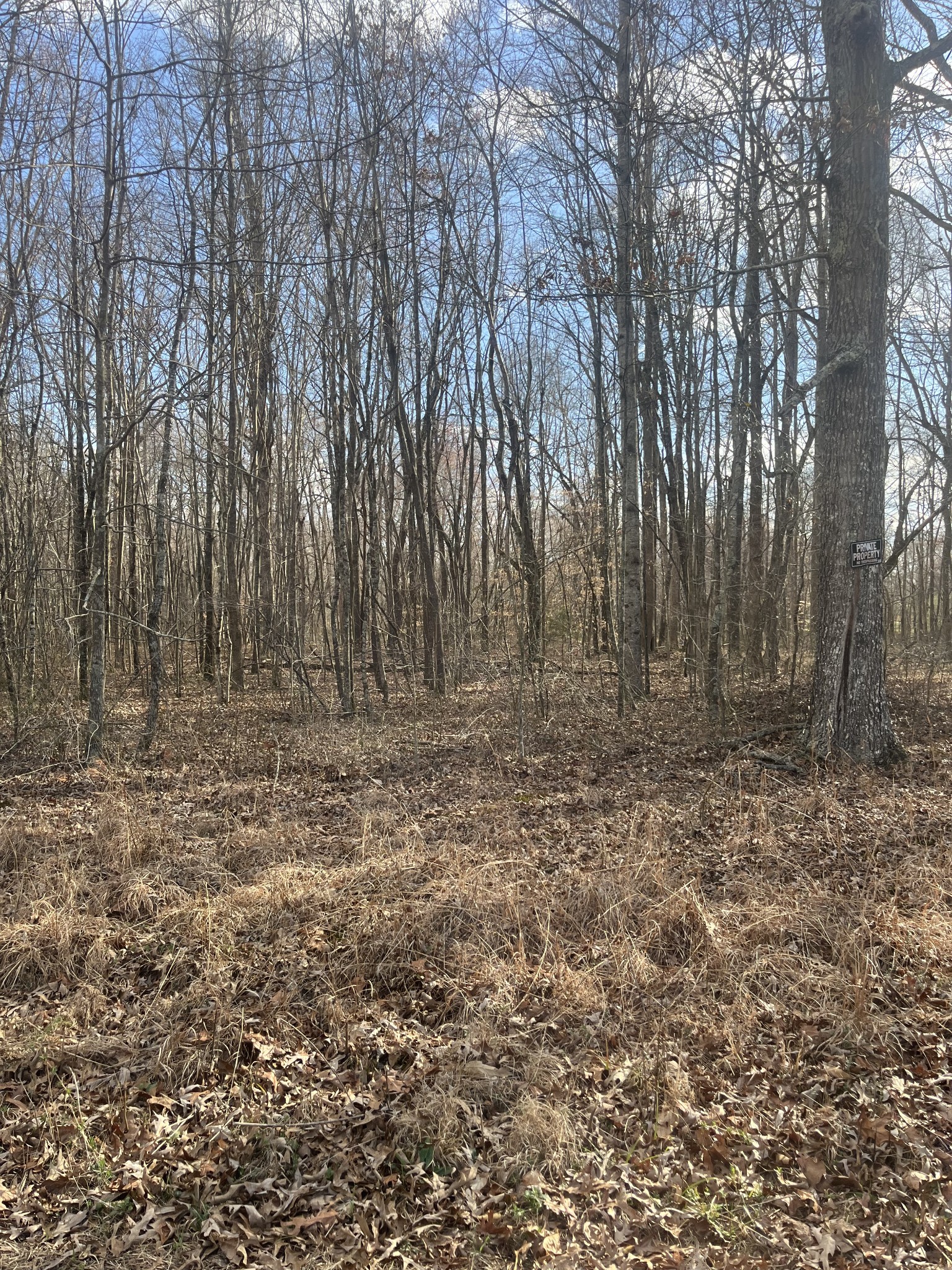 0 Boynton Valley Road Manchester TN 37355