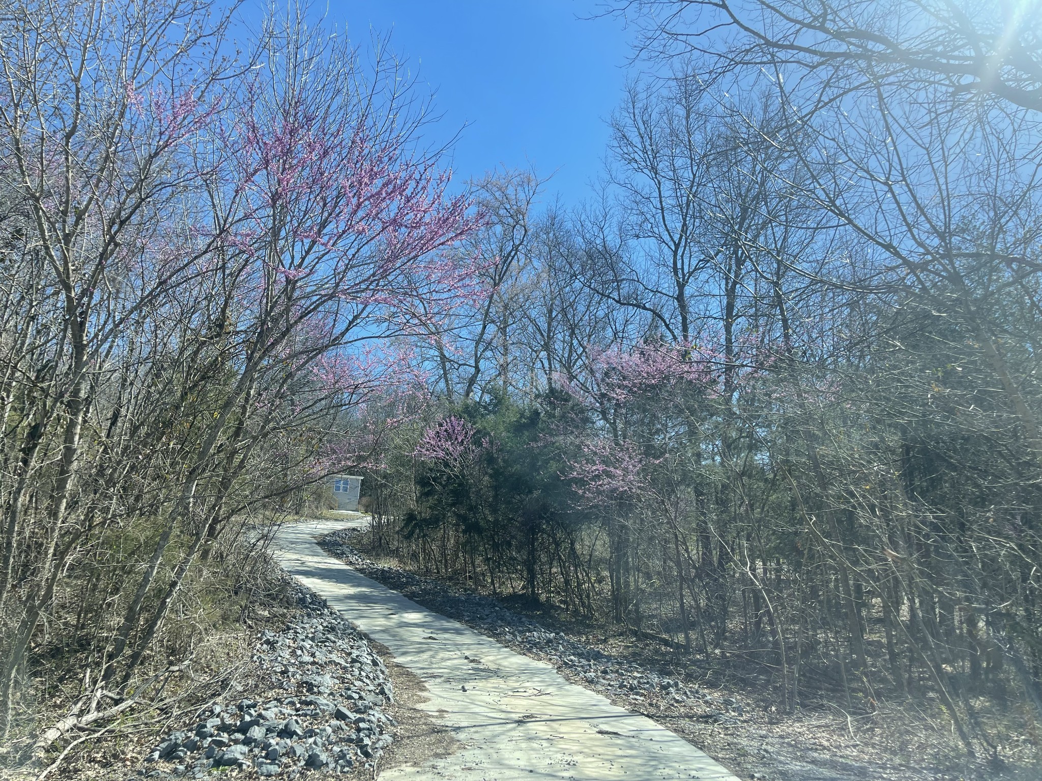 398 Hiwassee Road Lebanon TN 37087