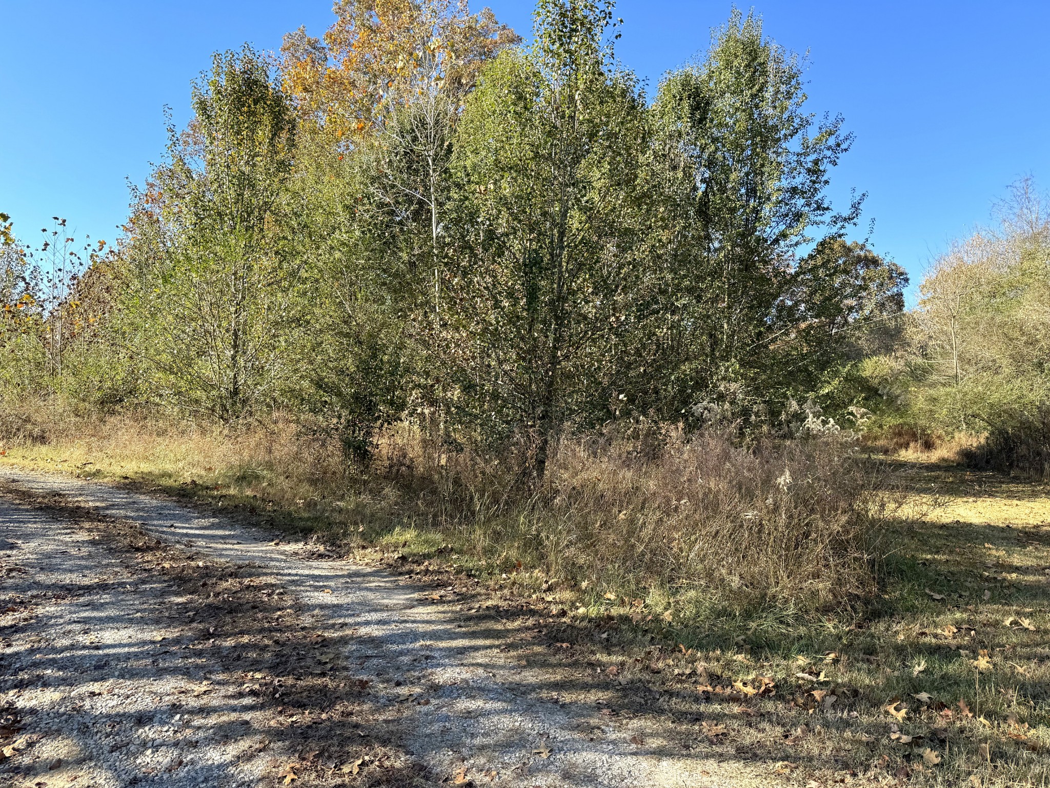0 Cook Road Tullahoma TN 37388