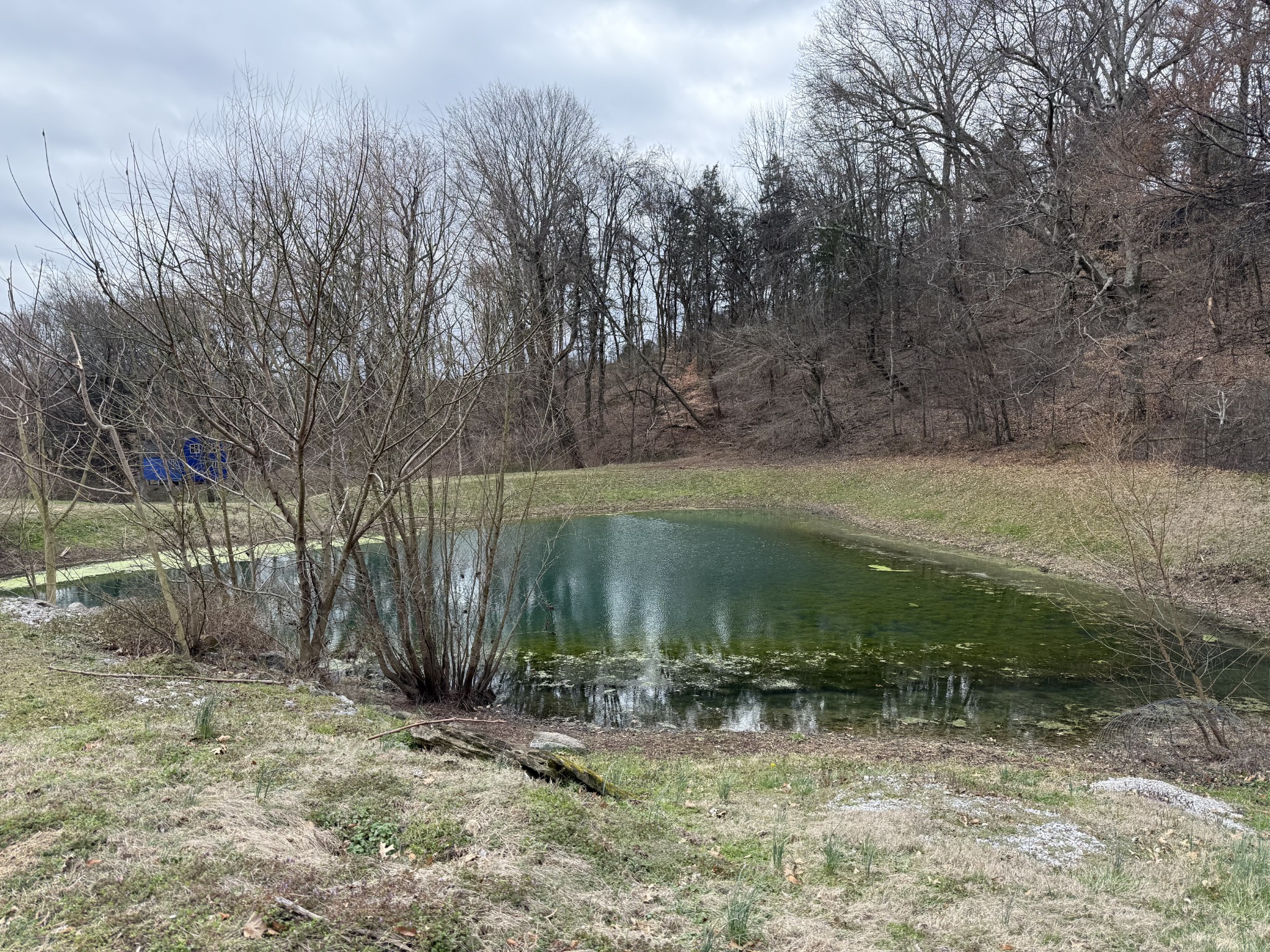 6448 Nathan Smith Road College Grove TN 37046