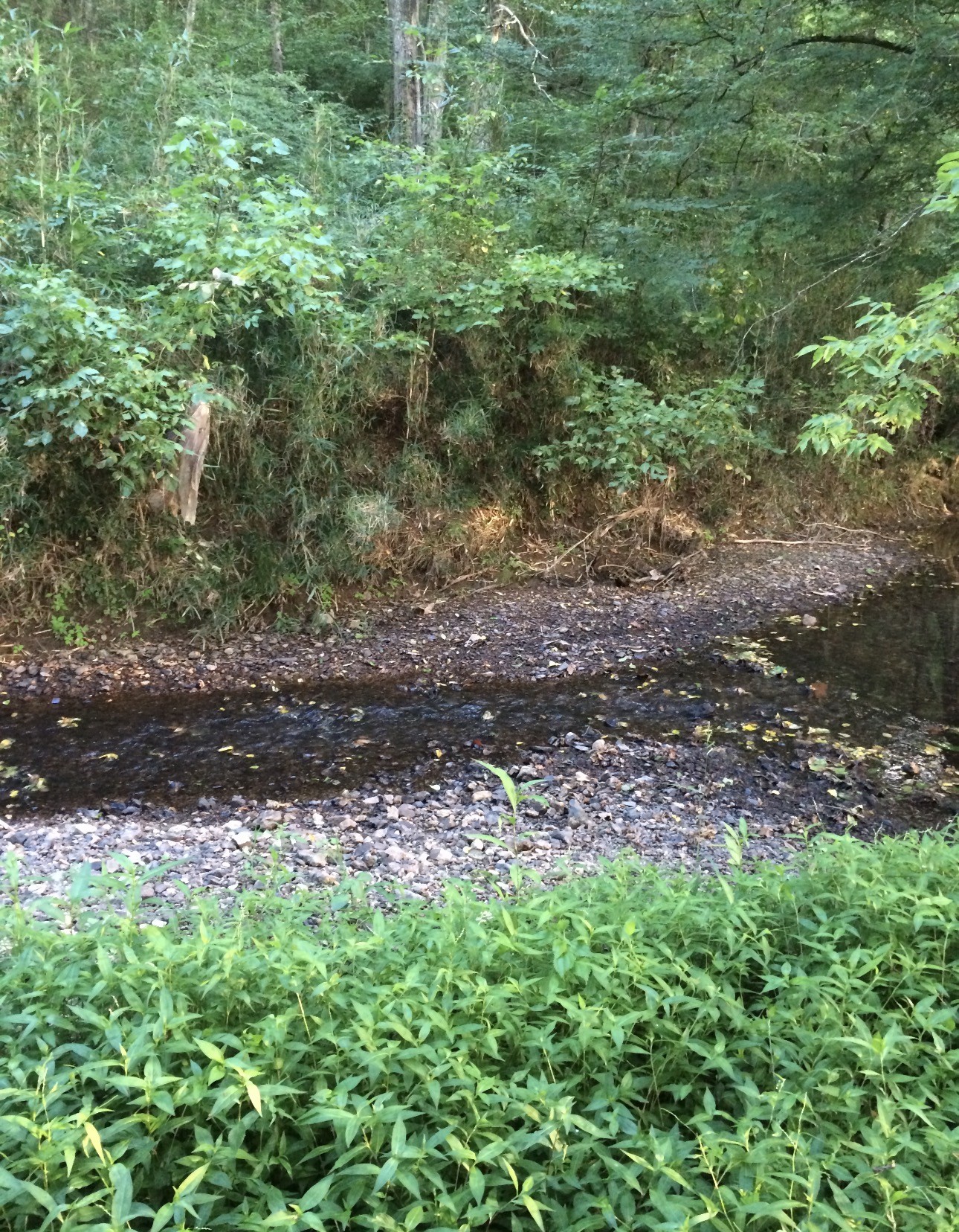 3001 Valley Creek Road Culleoka TN 38451