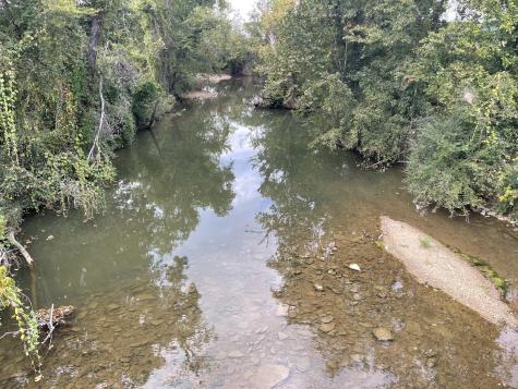 0 Mcburg Dellrose Road Tract 3 Dellrose TN 38453