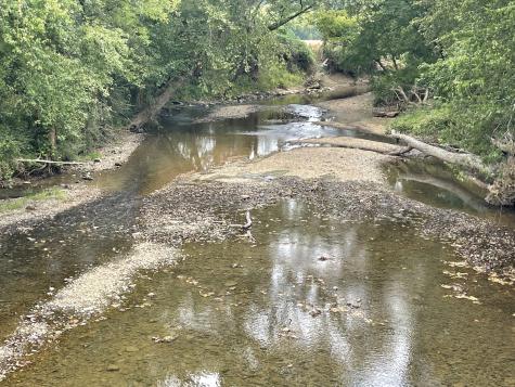 0 Mcburg Dellrose Road Tract 3 Dellrose TN 38453