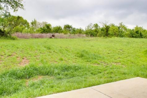 950 Hunters Lane Springfield TN 37172